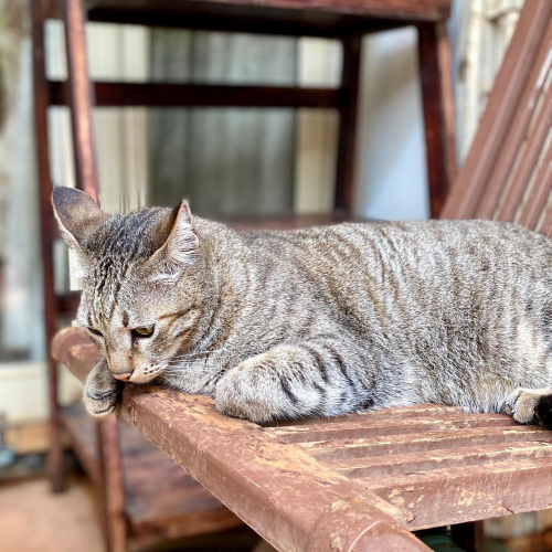 277438653_10224700578679009_337841659607884524_n