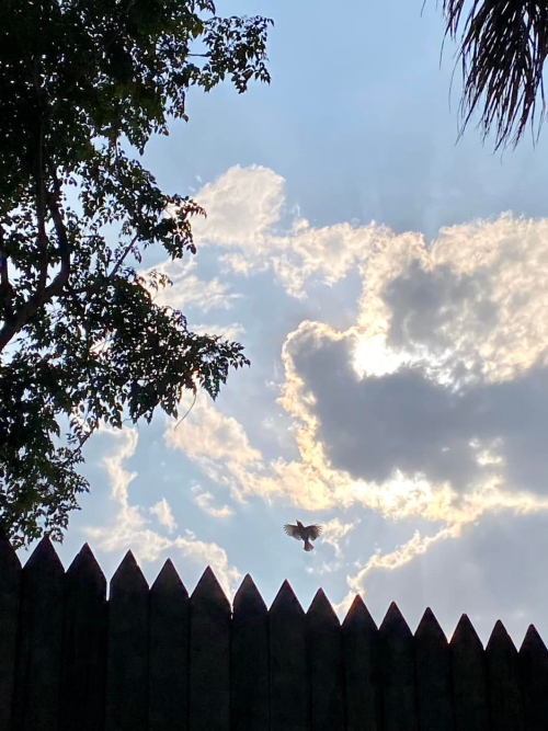 275254514_10224592975749003_3070554145439711233_n