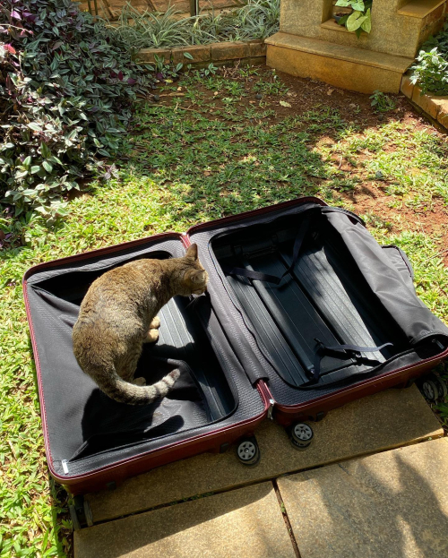 275240890_10224586946118266_3844968559768352080_n