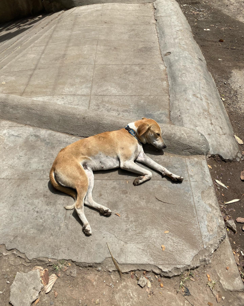 274951929_10224577606204774_3521908863588562758_n