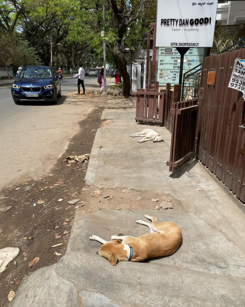 275066672_10224577606284776_2489695173136273274_n