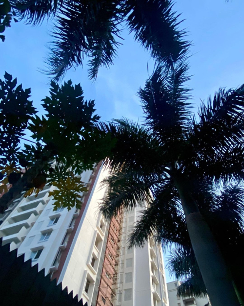 275003793_10224576508457331_9081892430660903528_n