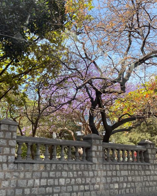 275099058_10224573151213402_7401186154317013556_n