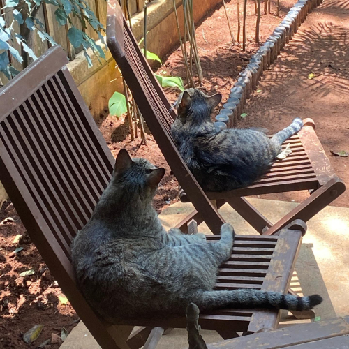 278886616_10224829572903784_9040835556391751350_n-1