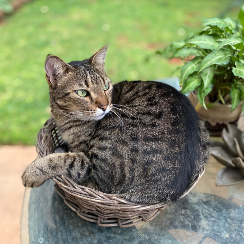 278886616_10224829572903784_9040835556391751350_n-1