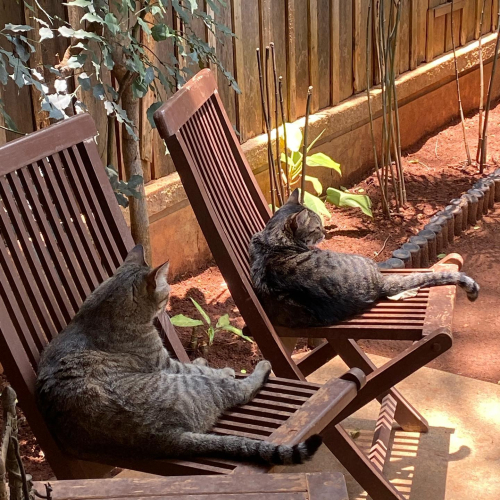 278886616_10224829572903784_9040835556391751350_n-1