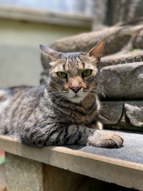 280243983_10224928777303832_6262090210407244074_n