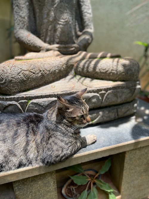 280243983_10224928777303832_6262090210407244074_n