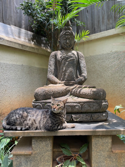 280243983_10224928777303832_6262090210407244074_n