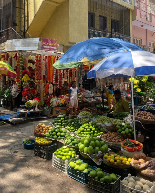 280121782_10224925136532815_3934070347023549102_n