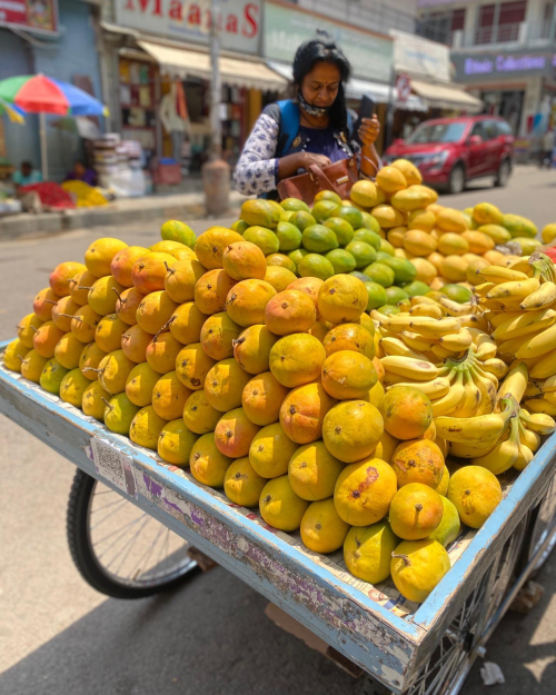 280121782_10224925136532815_3934070347023549102_n