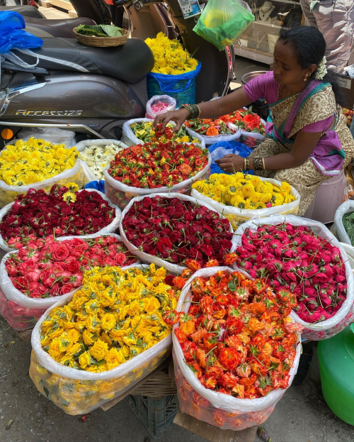 280121782_10224925136532815_3934070347023549102_n