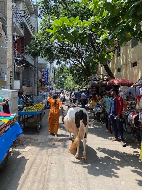 280156456_10224925176653818_8223817066191636300_n