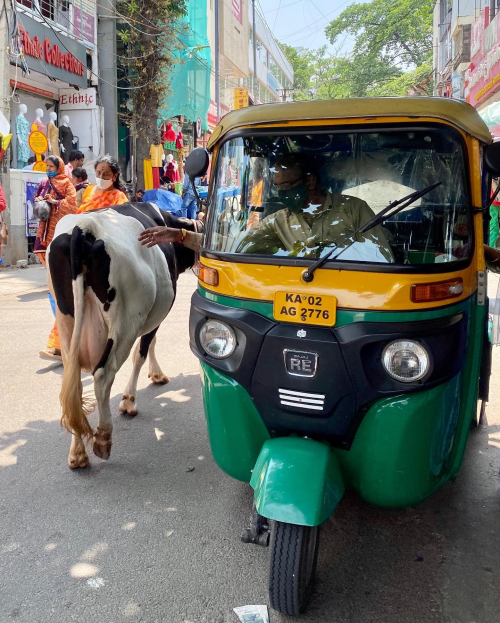 280181871_10224925136412812_2147268595972542042_n-1