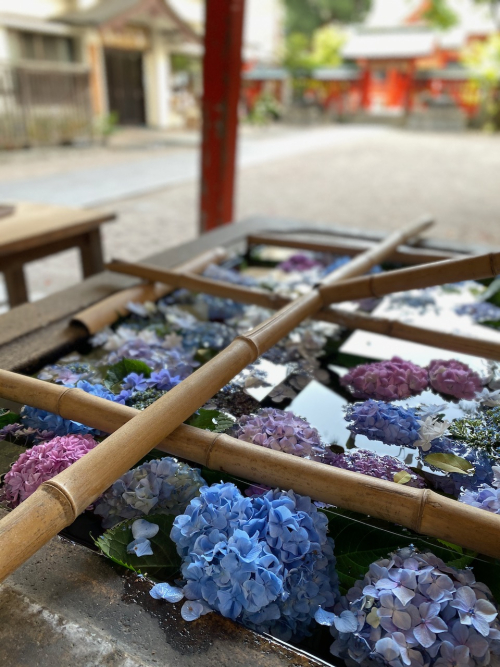 IMG_6463 (1) IMG_6463 (1)