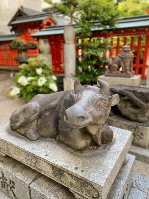 IMG_6463 (1) IMG_6463 (1)