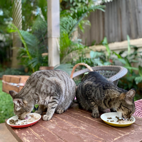 295268819_10225377650165373_1382531734386747556_n