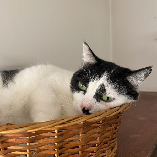 295025281_10225377650045370_4812359850177964471_n