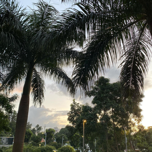 295025281_10225377650045370_4812359850177964471_n