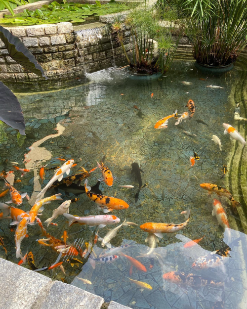 302154001_10225556920927030_8289638818045173519_n