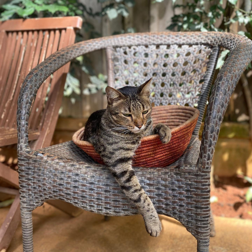 301591679_10225531488771242_9103311897421843108_n