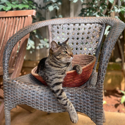 301591679_10225531488771242_9103311897421843108_n