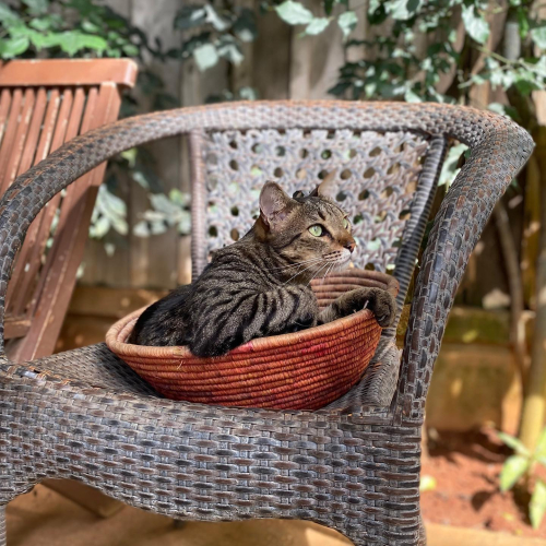 301591679_10225531488771242_9103311897421843108_n