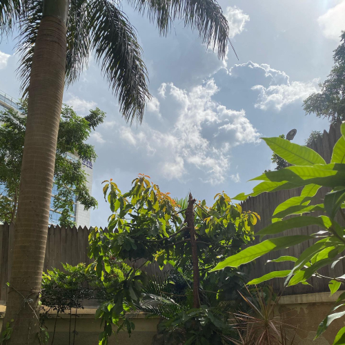 301591679_10225531488771242_9103311897421843108_n