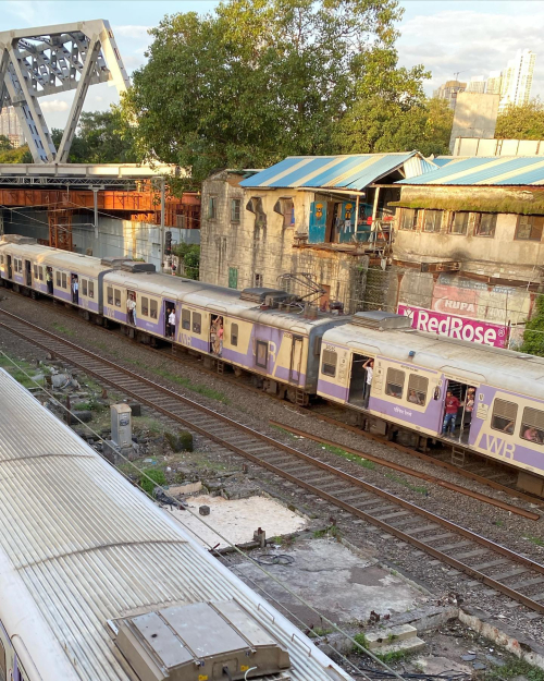 309003795_10225682763393013_7495631618588313467_n