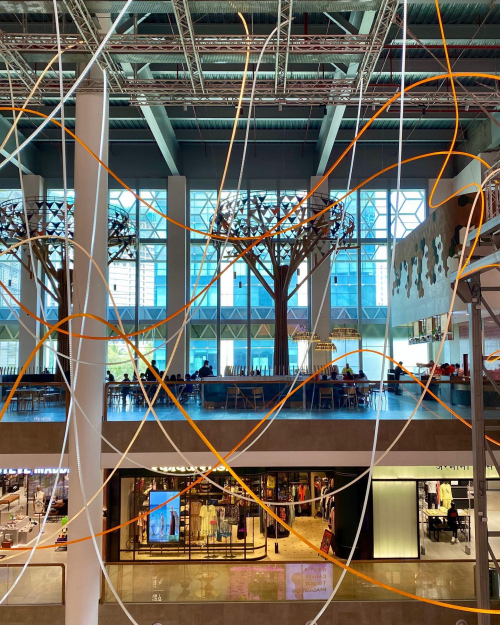 309372763_10225678374923304_7964471393664541905_n