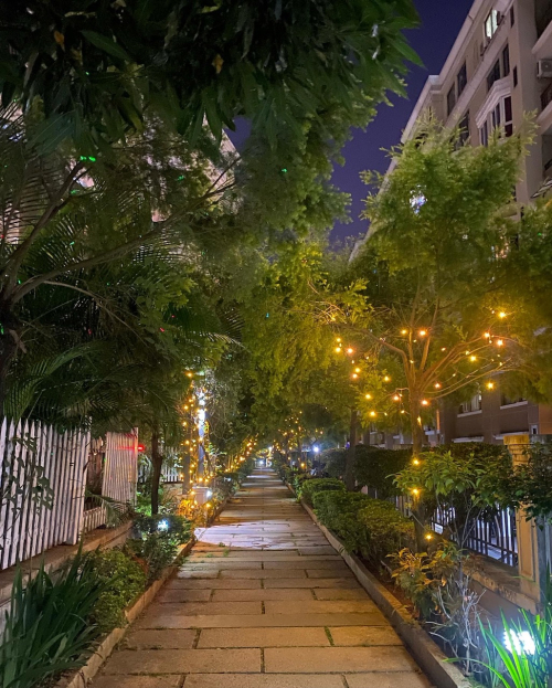 D1217954-C3C3-48F9-A005-4E6D453CCD8E