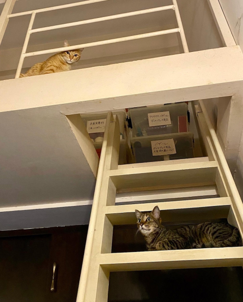 D1217954-C3C3-48F9-A005-4E6D453CCD8E