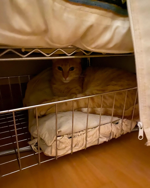 C0653E0A-AF6F-4C76-B97E-554CFABEC452