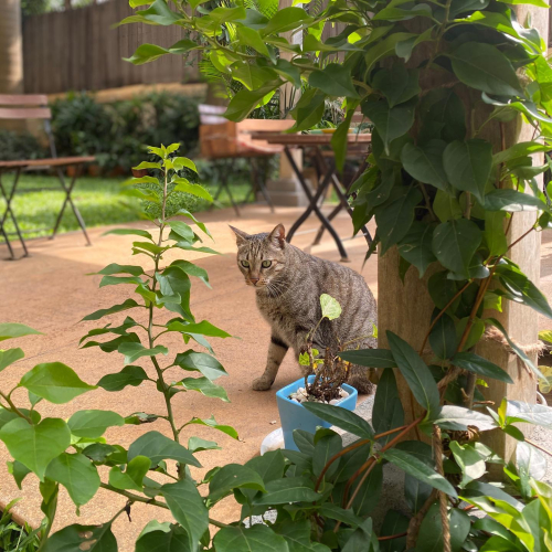 311832073_10225782073075693_8057620842628241522_n