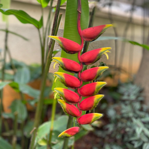 311832073_10225782073075693_8057620842628241522_n