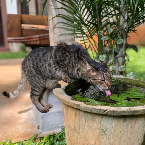 311786702_10225782073035692_7922866421079628469_n