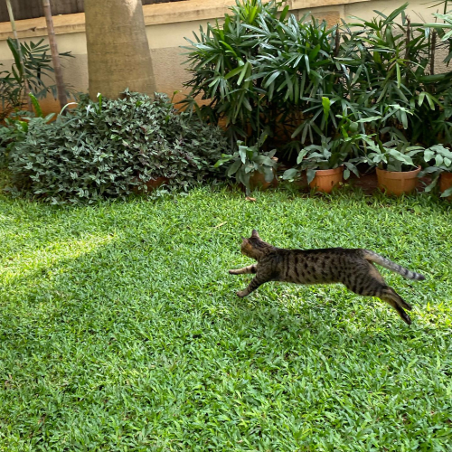 311786702_10225782073035692_7922866421079628469_n