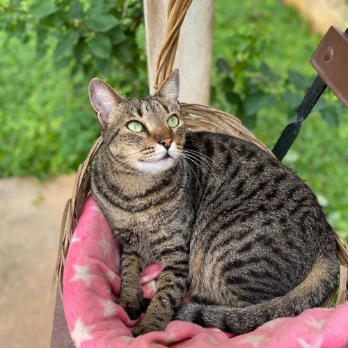 311786702_10225782073035692_7922866421079628469_n