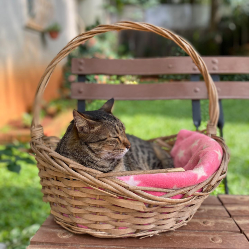 311816138_10225782073315699_2917122030001521847_n