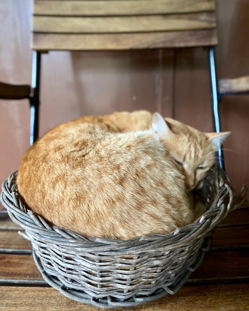 310967956_10225727729997150_4566910426325260672_n