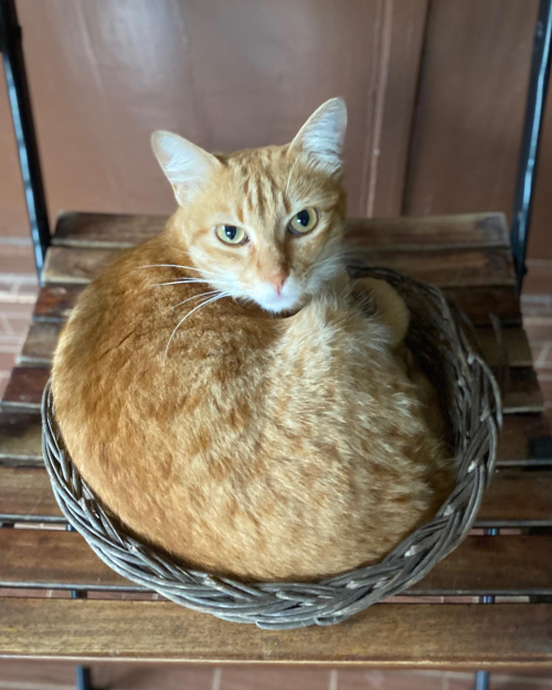 310967956_10225727729997150_4566910426325260672_n