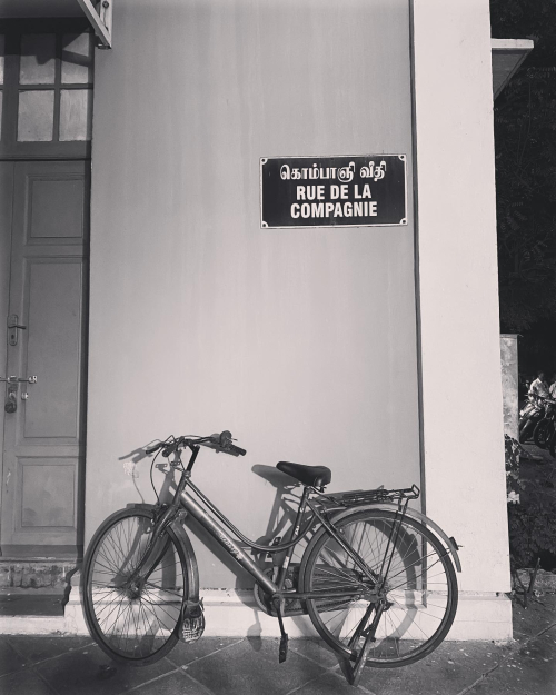 316291332_10226237444619697_3542372262151564727_n