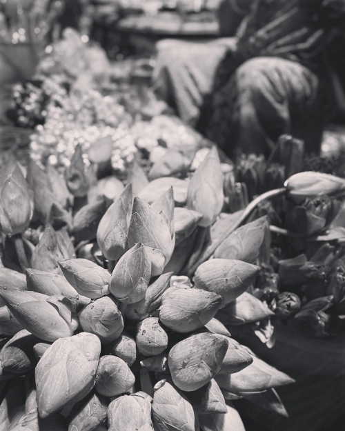 316291332_10226237444619697_3542372262151564727_n