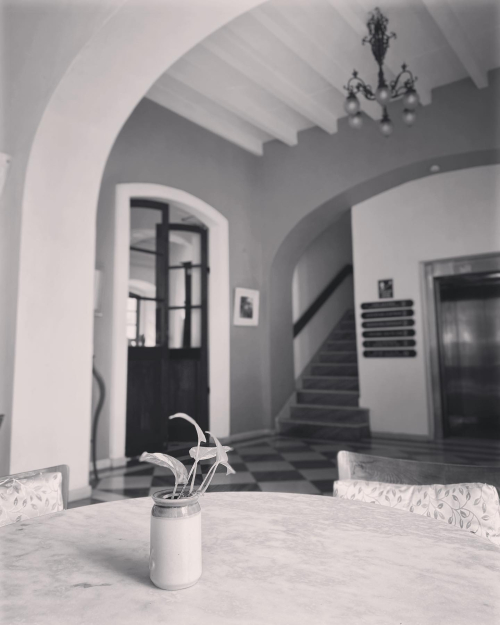 315742082_10226237444579696_859713318021965876_n