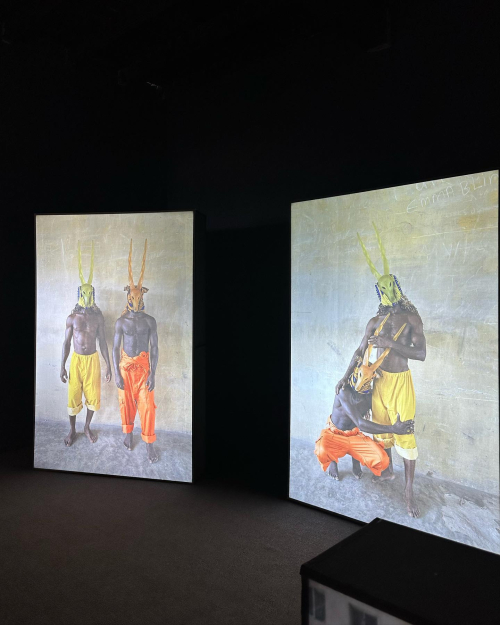 326977813_1864501627233919_4579918408644929772_n