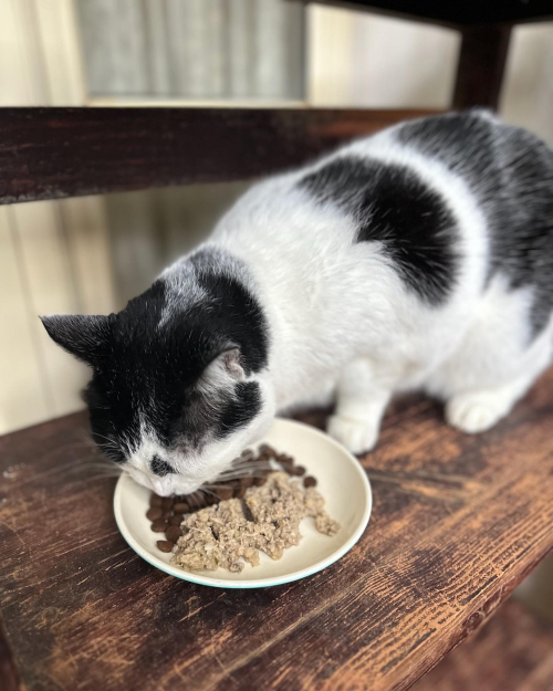 322700181_1919827205029178_206857122005980196_n