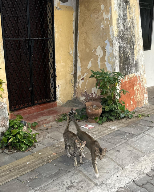 328425733_600007578625294_4629254877308966875_n