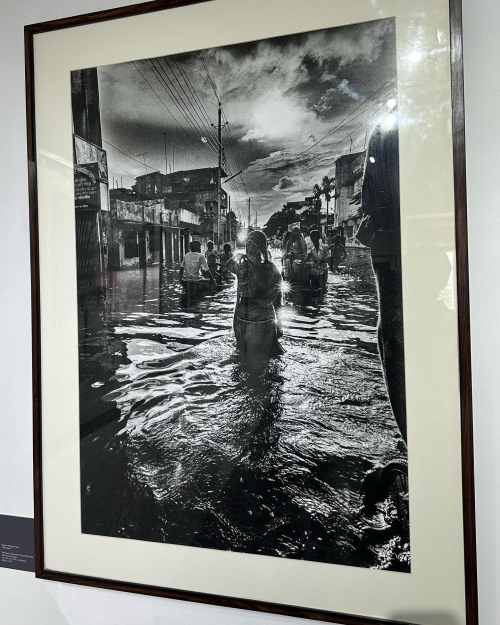 328562355_921323818861409_2108371301696055290_n