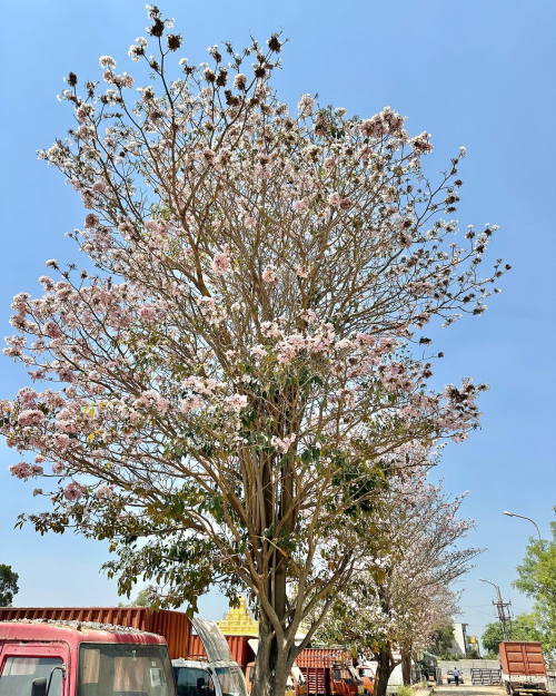 338360086_1580592162415351_8680814242006322474_n