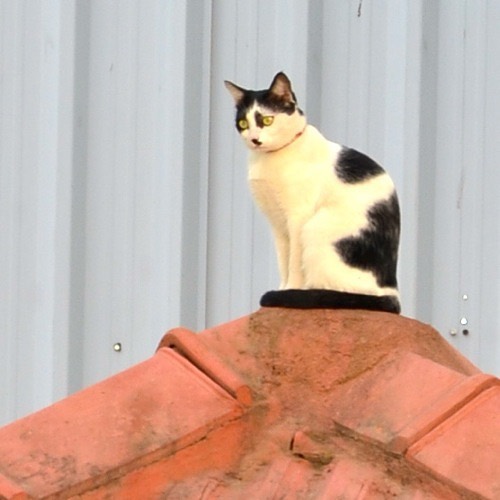 337557848_231890322709258_7369699957379384755_n